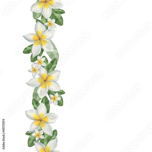 Hawaiian flowers. Seamless border. Watercolor illustration. Hand-drawing