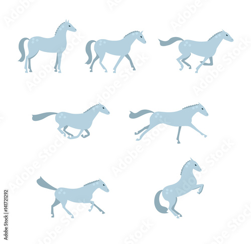 Set with gray horse run  stay and steps. Horse in different poses.