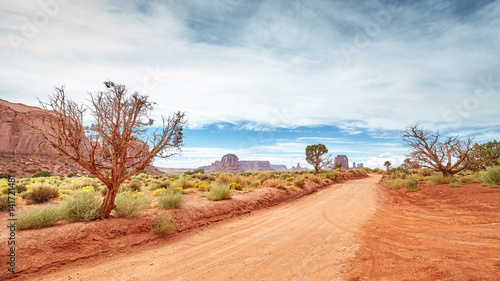 Panoramic view of a dirt road in the Monument Valley  USA.