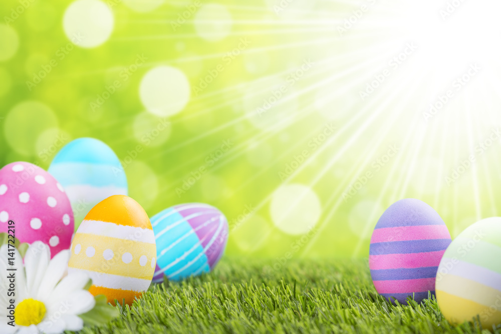 Decorated Easter eggs in the grass with a green background Decorated Easter eggs in the grass with a green background