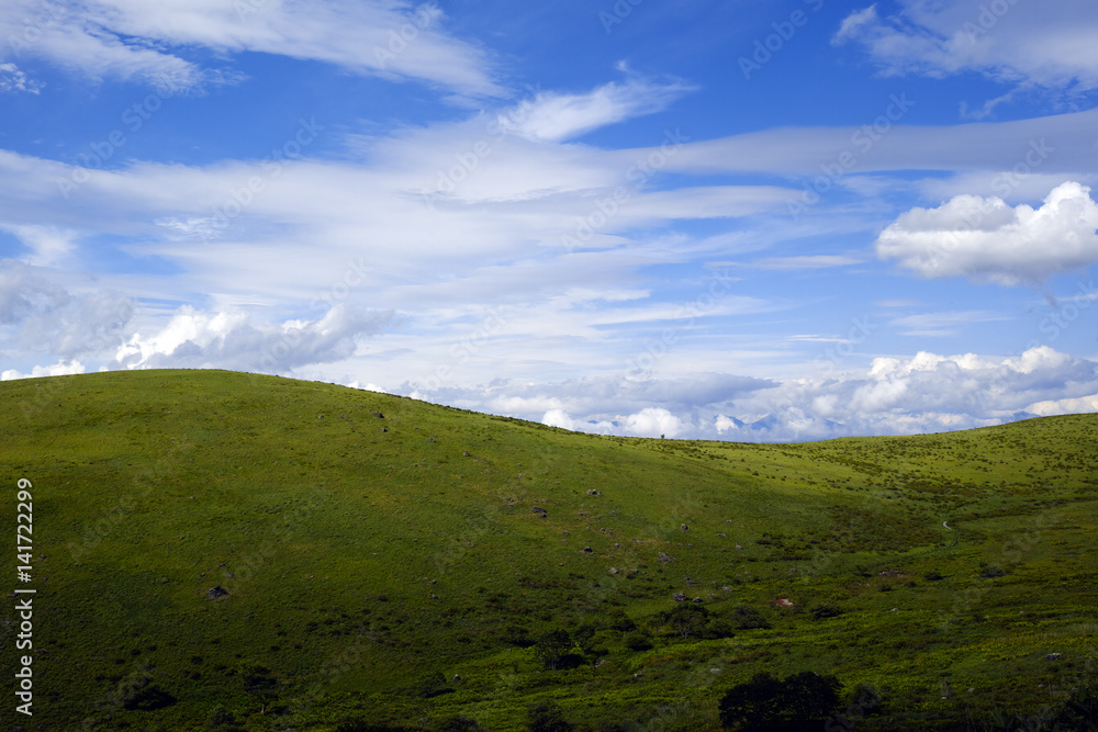 Obraz premium 夏の霧ヶ峰高原