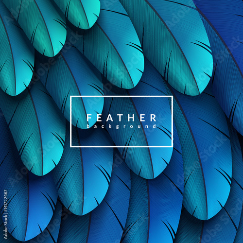 Colorful feathers background. Abstract feather composition. Eps10 vector illustration.