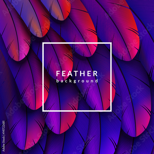 Colorful feathers background. Abstract feather composition. Eps10 vector illustration.