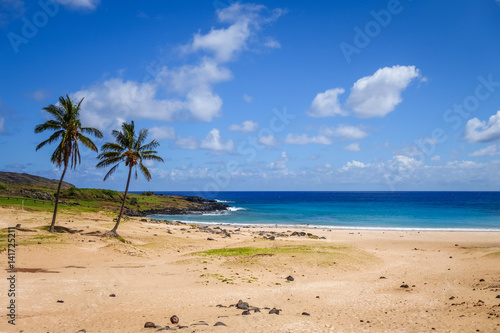 Palm trees on Anakena beach, easter island © daboost