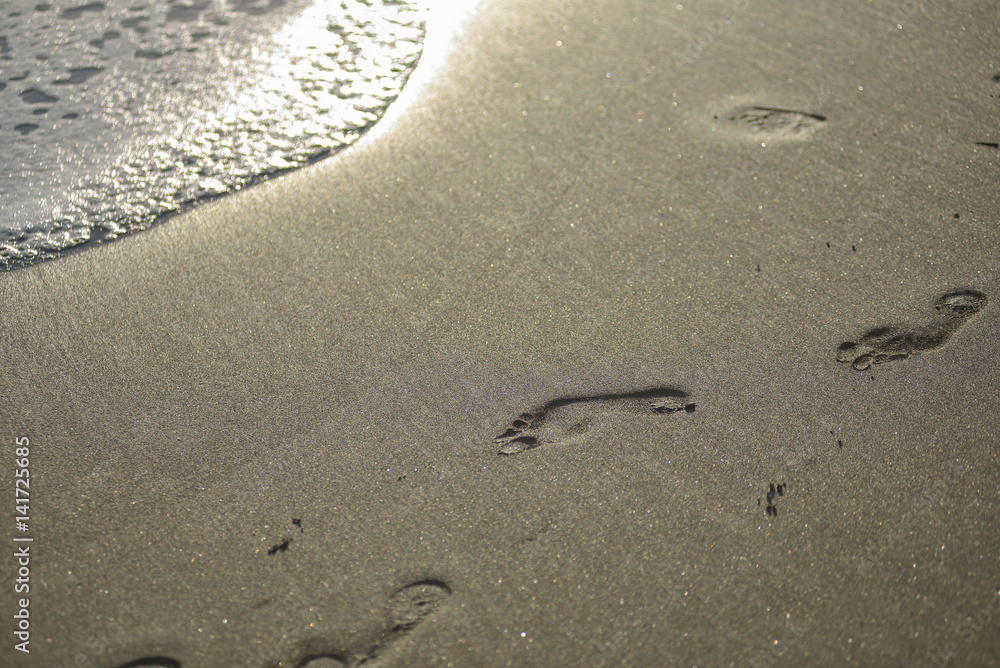 Foot prints in the sand on the beach
Foot prints in the sand on the beach