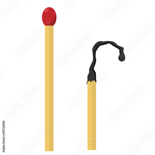The match and burned matches.