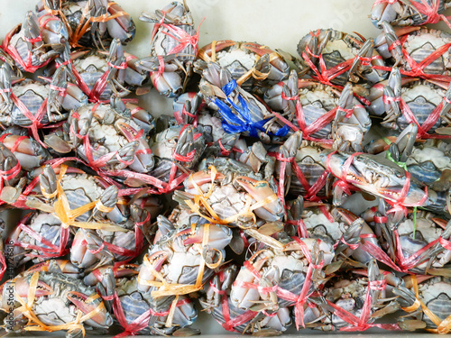 Fresh alive crabs tied up for sale in local market in Thailand, unusual christmas gift with colorful ribbon