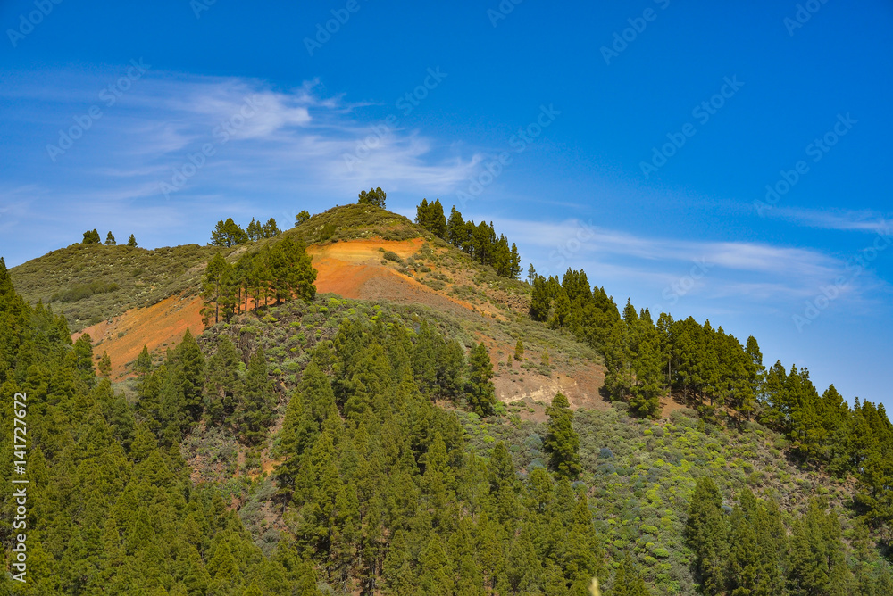 Mountain landscape with volcanic soil and pine trees in Gran Canaria island, Spain
