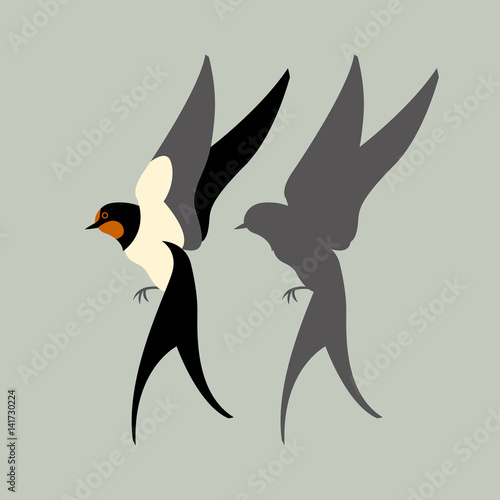 swallow vector illustration style Flat silhouette