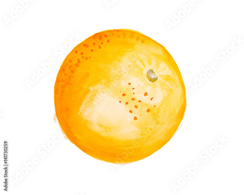 fruit orange painted in watercolor