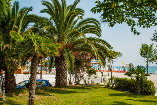Leptokaria, Greece - June 17, 2014: Palm tree and view of the beach, sea and sunny day, Leptokaria, Greece