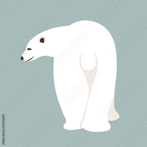 bear polar vector illustration style Flat