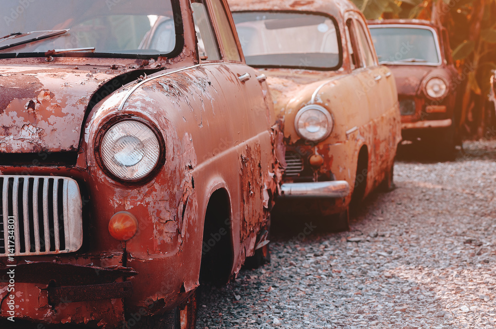rows of cars in a salvage yard facing each other
