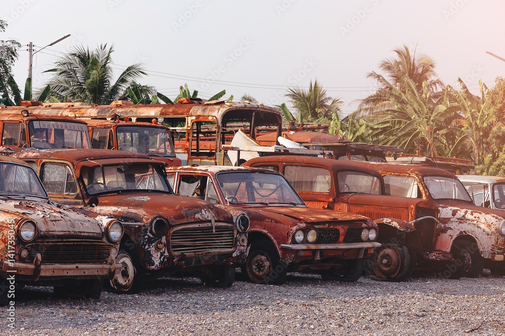 rows of cars in a salvage yard facing each other