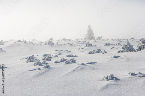 Winter in Karkonosze - Fog, frost nad snow © Photo Collective