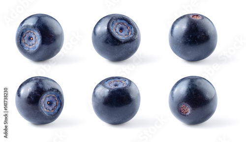 Blueberry. Bilberry. Berries isolated on white background. Collection. With clipping path.