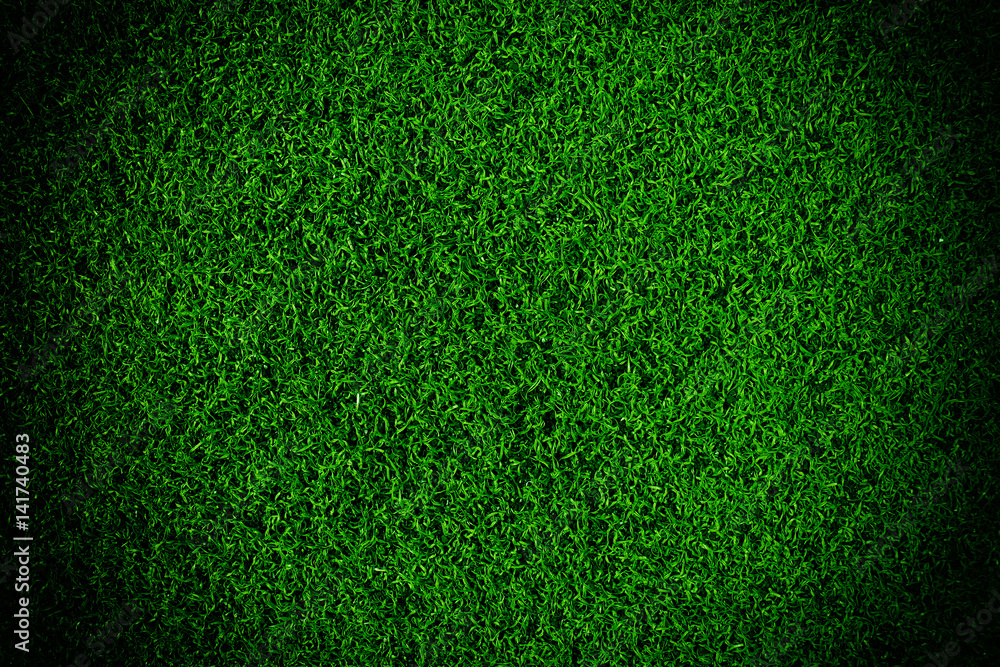 Obraz premium Artificial grass background