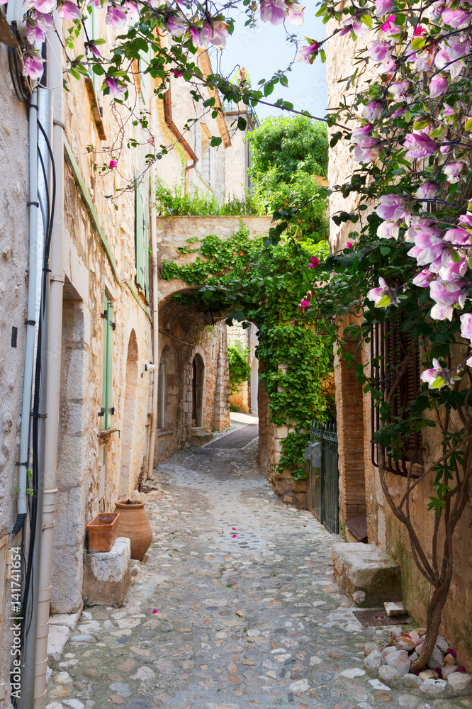 beautiful old town stone street of Provence at spring day, France - obrazy, fototapety, plakaty 