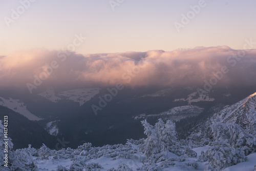 Wallpaper Mural Early morning in winter mountains Torontodigital.ca