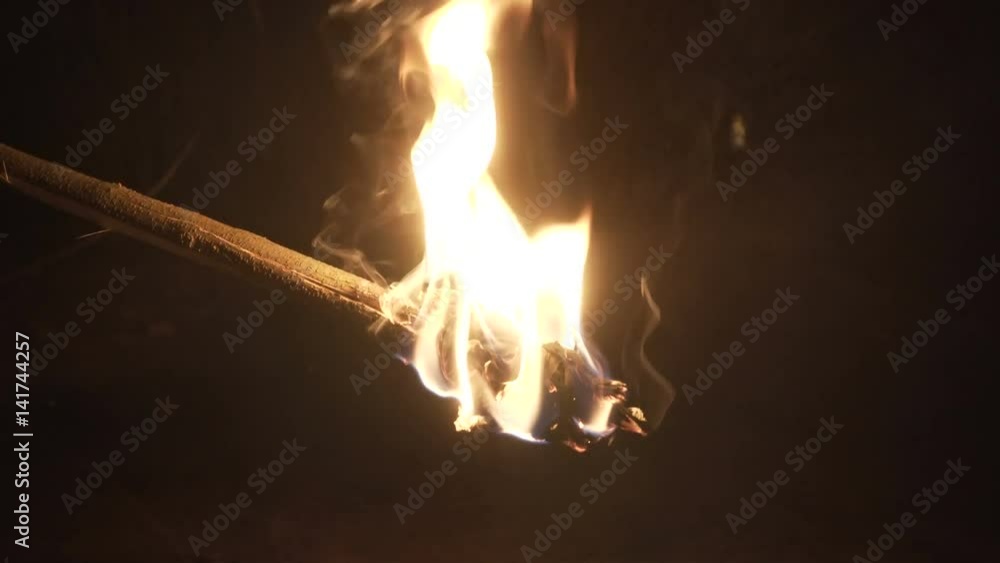 Burning torch in the night forest close-up