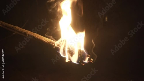 Burning torch in the night forest close-up