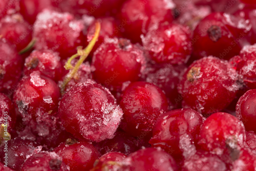 frozen berries red currant, macro frozen berries red currant, macro