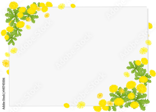 たんぽぽ　カード