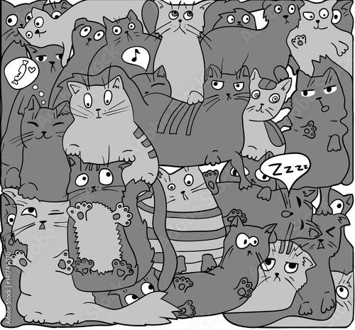 Gray cats on black.
