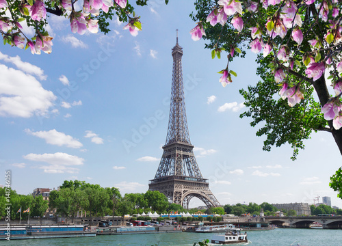 eiffel tour over Seine river with tree and spring magnolia flowers, Paris, France © neirfy