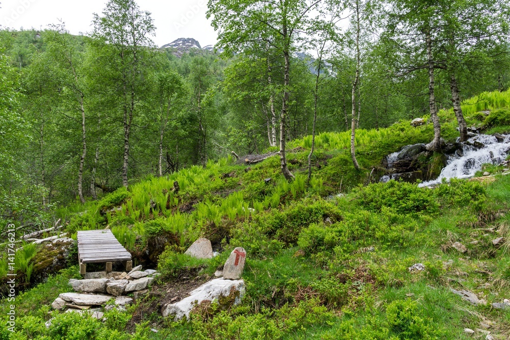 Norway wilderness