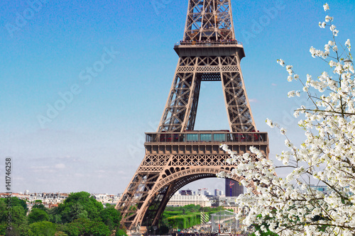 famous Eiffel Tower details close up with spring bloom, Paris, France