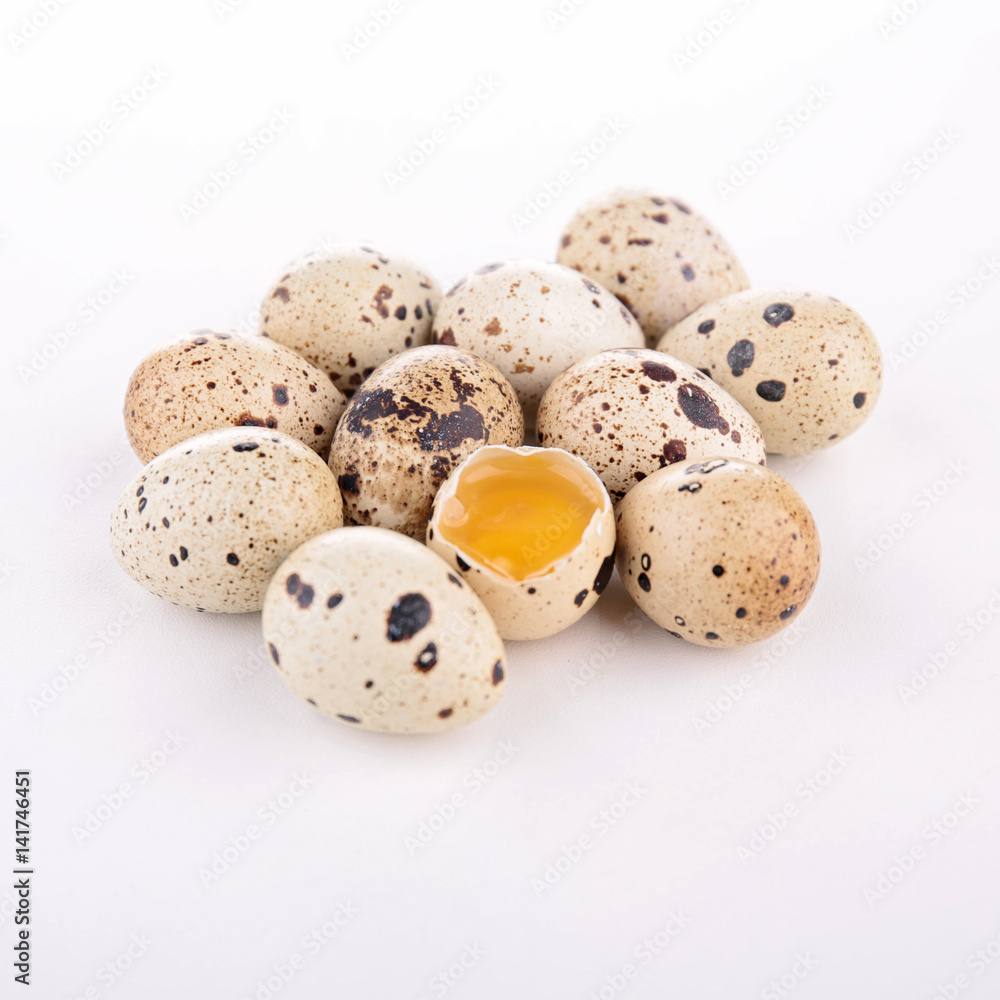 quail egg quail egg