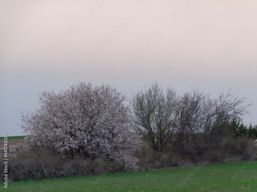 Obraz premium nature photos