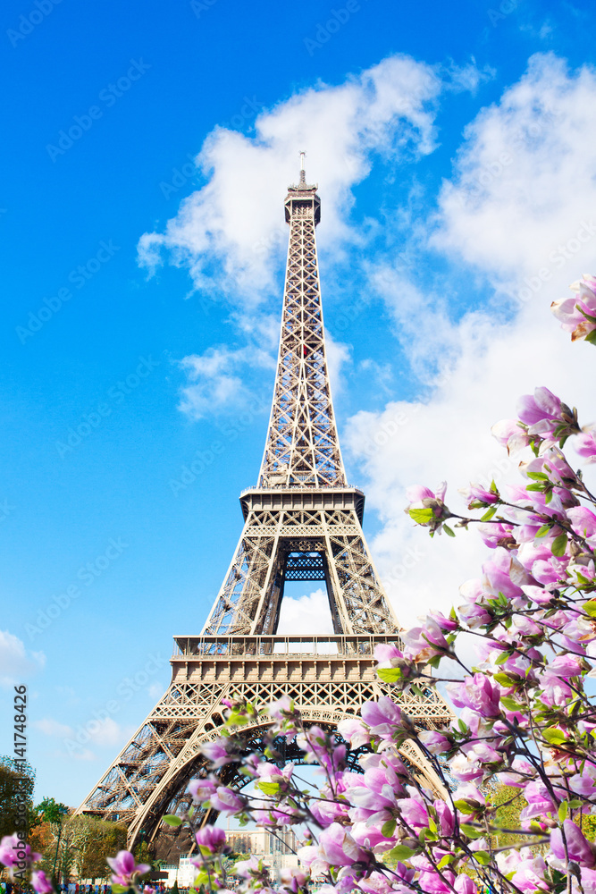 Eiffel Tower in sunny spring day with magnolias in Paris, France
