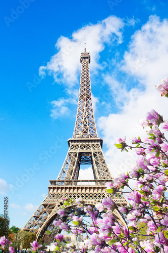 Fototapeta Naklejka Na Ścianę i Meble -  Eiffel Tower in sunny spring day with magnolias in Paris, France