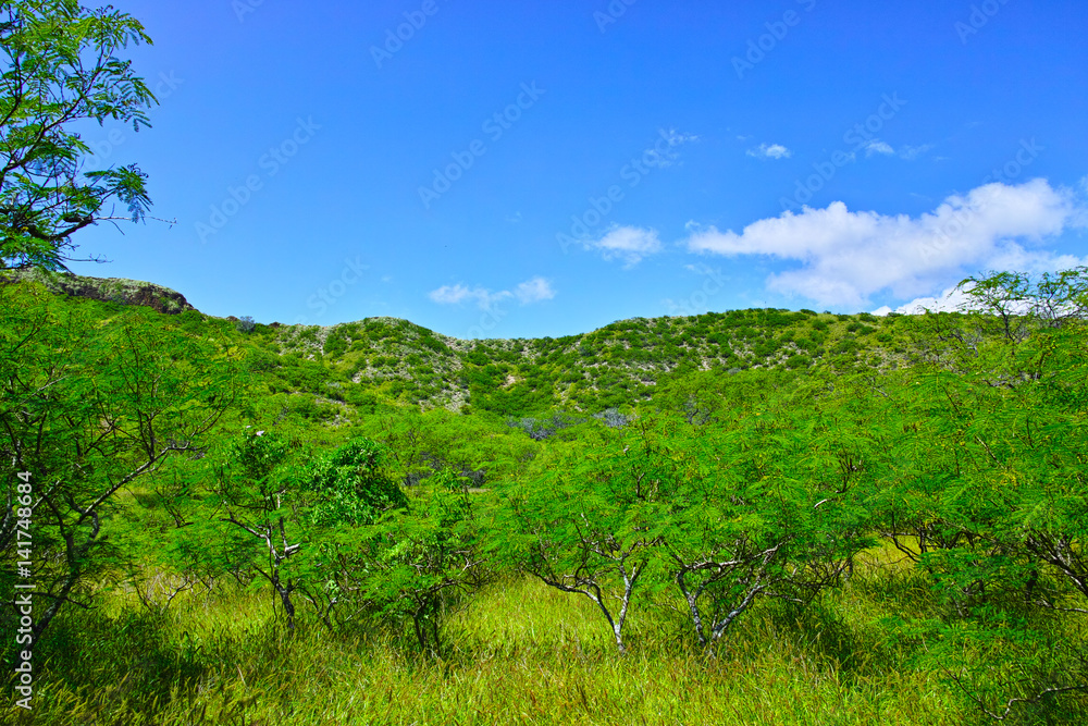 ハワイ ダイヤモンドヘッドの内部から見た風景 ハワイ ダイヤモンドヘッドの内部から見た風景