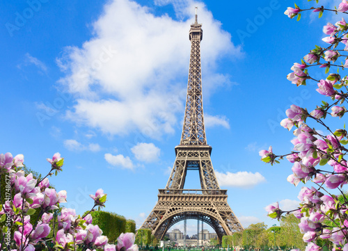 Eiffel Tower in sunny spring day in Paris, France © neirfy
