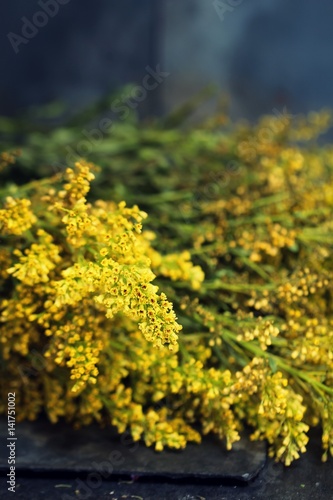 Fototapeta Naklejka Na Ścianę i Meble -  Bunch of Yellow flowers background - Spring concept, soft focus