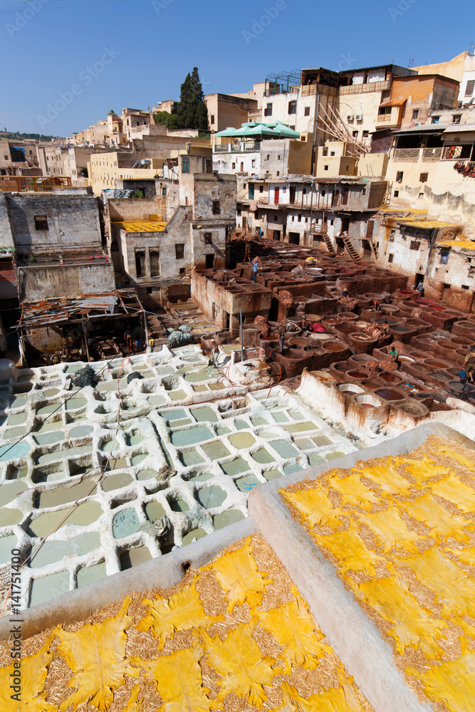 North Africa,Morocco,Fes district,Fez Tannery,Chouara Tannery. Leather processing North Africa,Morocco,Fes district,Fez Tannery,Chouara Tannery. Leather processing