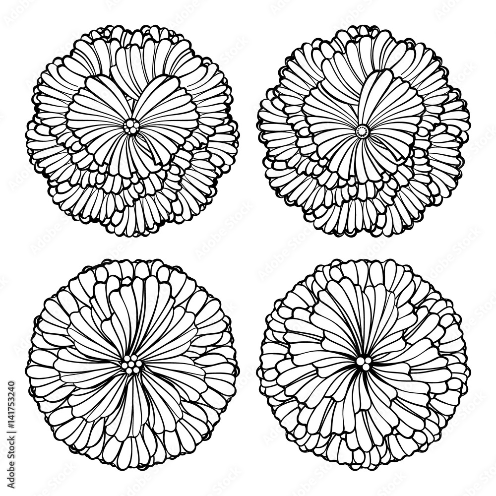 Fototapeta premium Vector decorative floral elements set