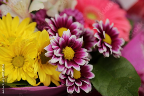 Background colorful summer flowers bouquet 