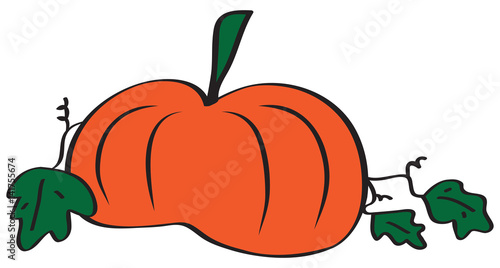 Big Orange Pumpkin