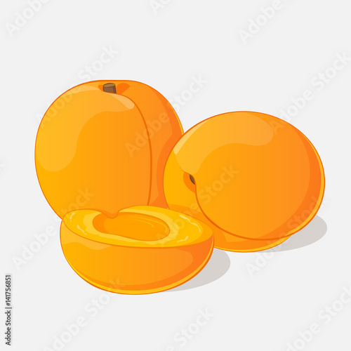 Bright juicy apricot on grey background. Sweet delicious for your design in cartoon style. Vector illustration. Fruit Collection.