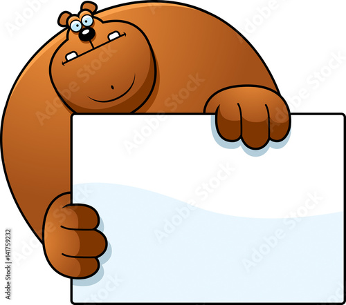 Cartoon Bear Hiding