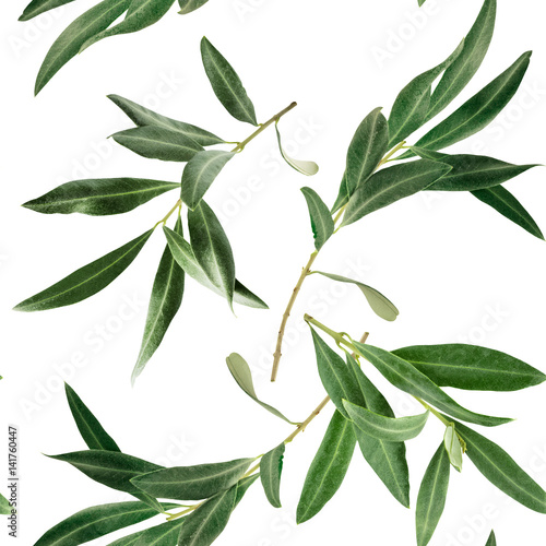 Seamless pattern with olive tree branches on white