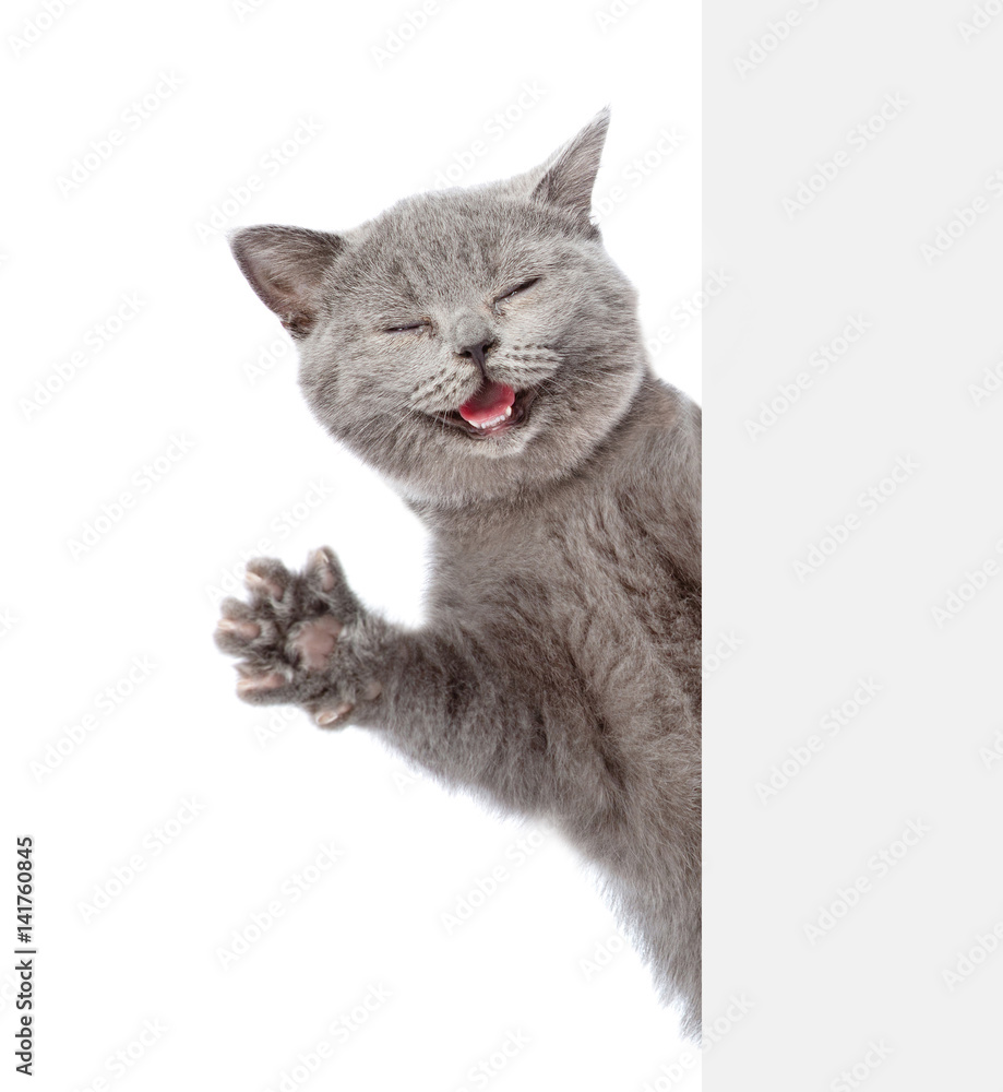 Naklejka Szczęśliwy kot zagląda zza banera i macha łapą. odizolowywający na białym tle