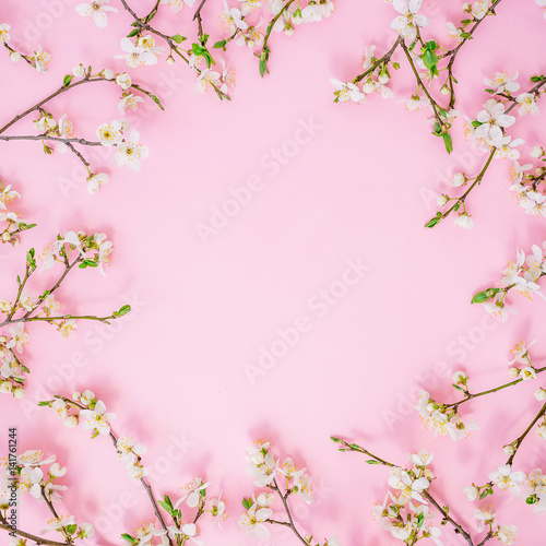 Spring flowers isolated on pink background. Flat lay, top view. Floral background.