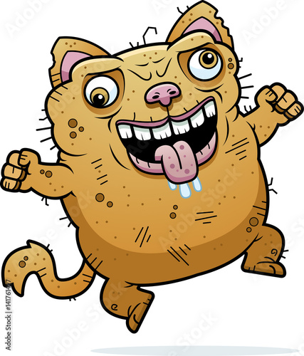 Crazy Ugly Cat