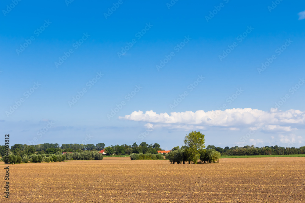 Agricultural area near Kirchdorf on Poel island