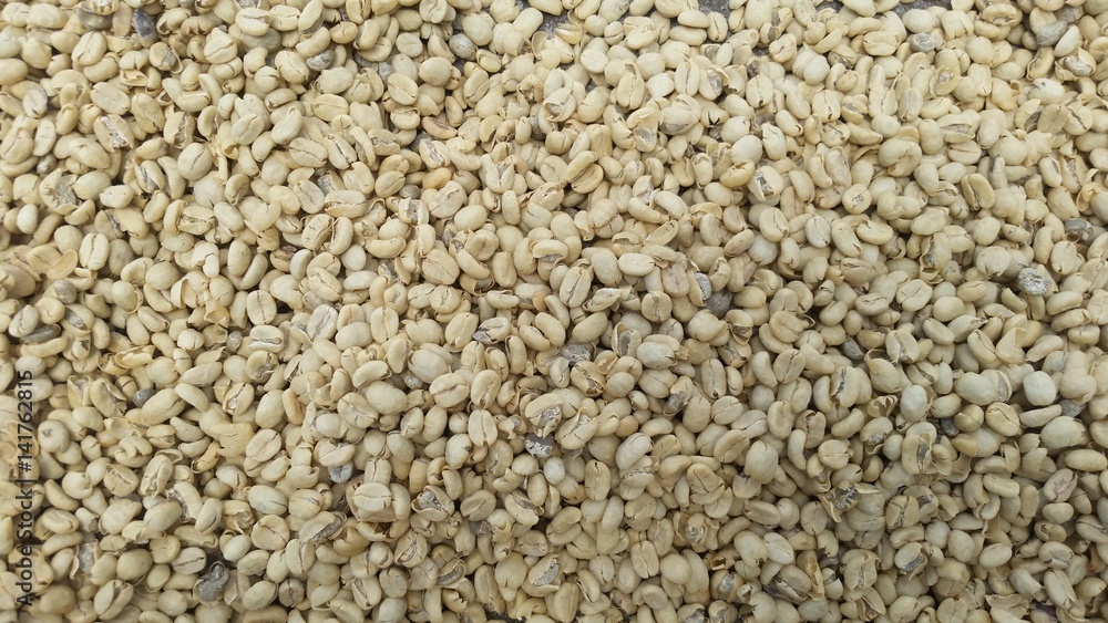 Raw Coffee Beans Before Roasting Raw Coffee Beans Before Roasting